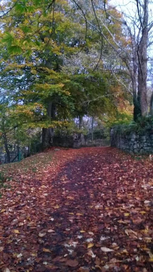 Mill Lane Διαμέρισμα Buncrana Εξωτερικό φωτογραφία